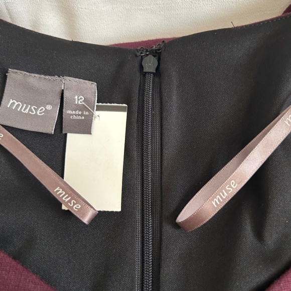 Muse Knit Black Dress Contrast Insets Bust and Hem Fall Colors Size 12 NWT - Picture 4 of 11